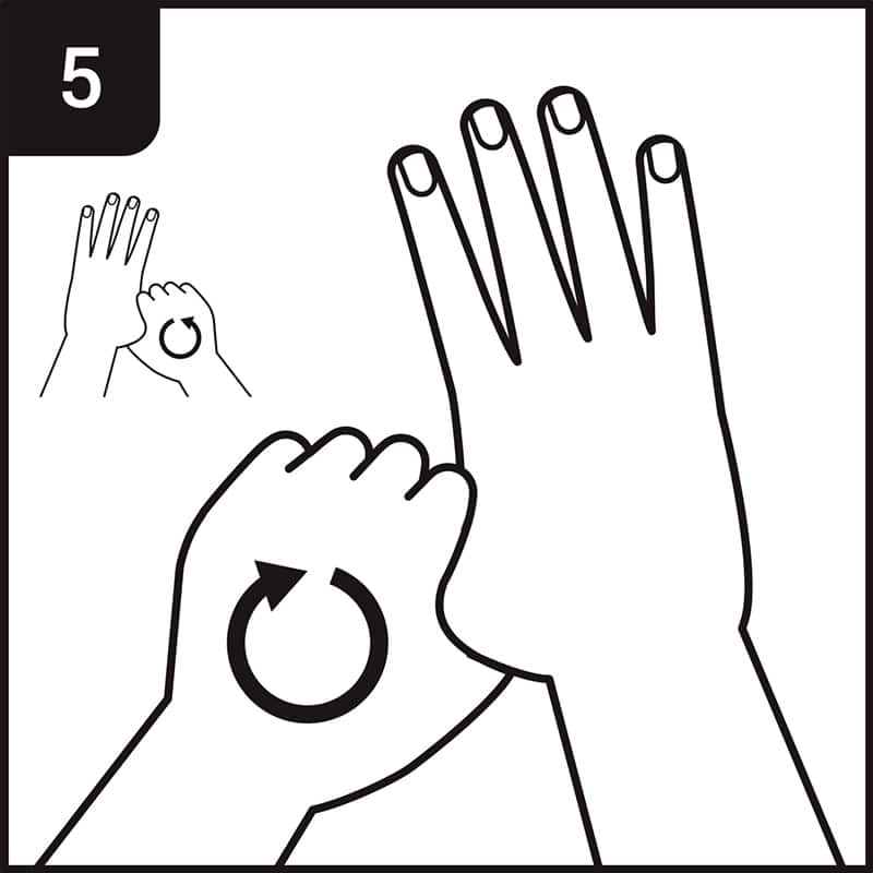 Hand washing process step 5 - clasp right thumb with left hand and rub in a rotational motion and vice versa